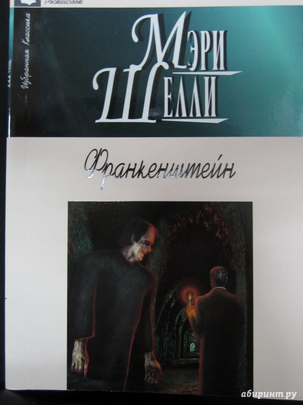 Иллюстрация 1 из 25 для Франкенштейн, или Современный Прометей - Мэри Шелли | Лабиринт - книги. Источник: )  Катюша
