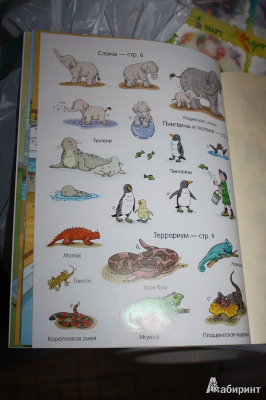 Иллюстрация 9 из 20 для Книга с наклейками. В зоопарке | Лабиринт - книги. Источник: Ko-ren