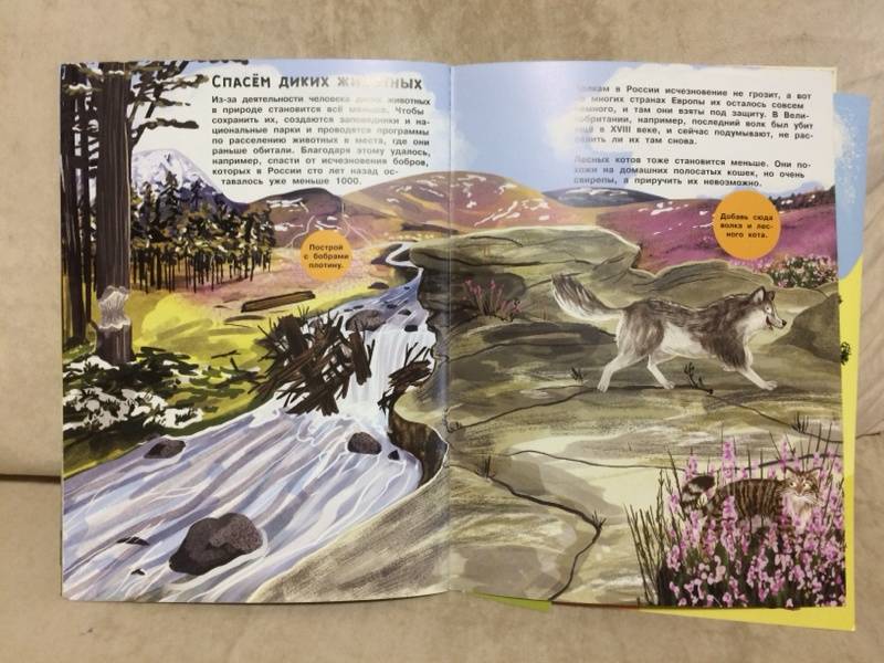 Иллюстрация 31 из 48 для Заяц, ёжик, крот и прочий звериный народ | Лабиринт - книги. Источник: ArtKuz