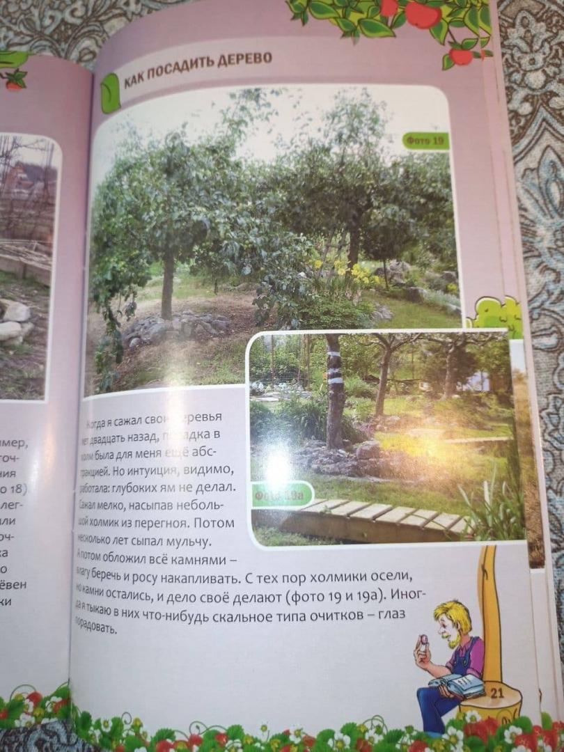 Иллюстрация 23 из 25 для Как посадить дерево - Николай Курдюмов | Лабиринт - книги. Источник: Kаpповa  Oльгa