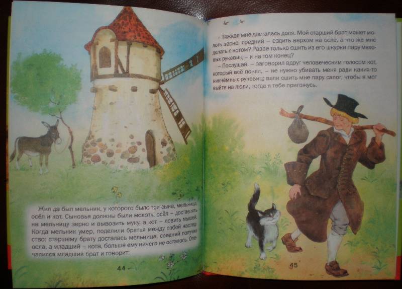 Иллюстрация 13 из 15 для Сказки - Гримм Якоб и Вильгельм | Лабиринт - книги. Источник: Гостья