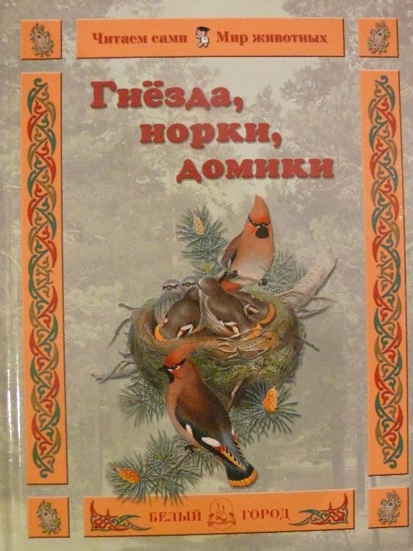 Иллюстрация 2 из 20 для Гнезда, норки, домики - Инна Гамазкова | Лабиринт - книги. Источник: Аврора