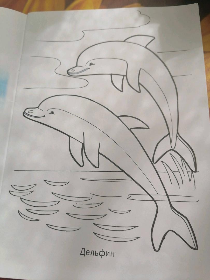 Иллюстрация 25 из 34 для Раскраска Жители морей | Лабиринт - книги. Источник: Савушкина Ольга