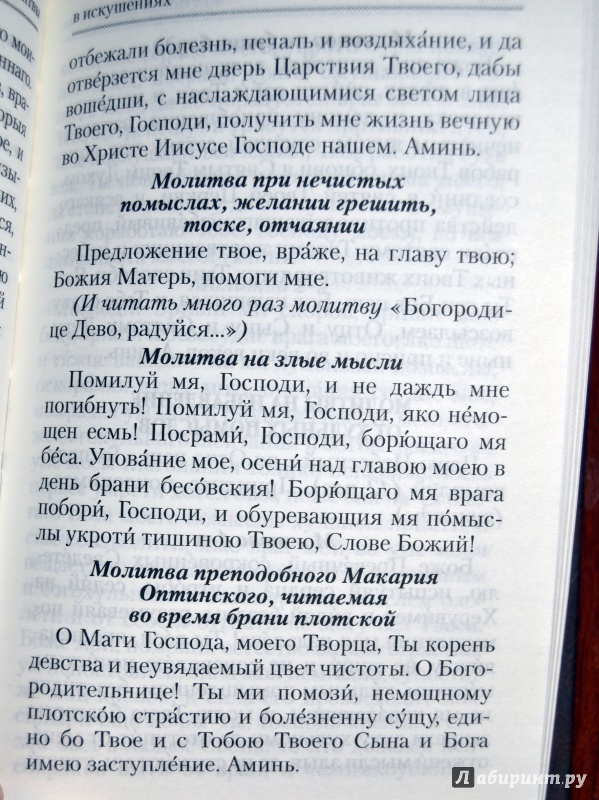 Иллюстрация 37 из 38 для Православный молитвослов "Слава Богу за все!" | Лабиринт - книги. Источник: D8  _