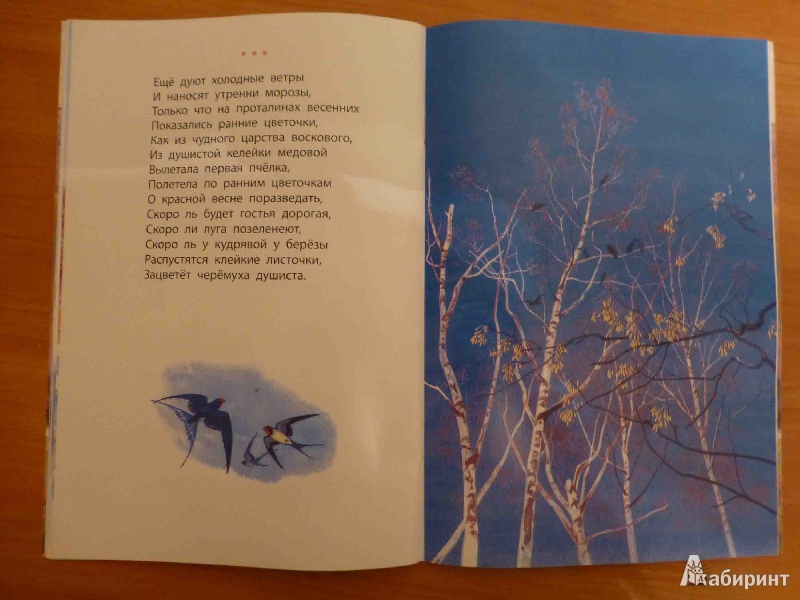 Иллюстрация 9 из 14 для Очей очарованье - Александр Пушкин | Лабиринт - книги. Источник: Maryna
