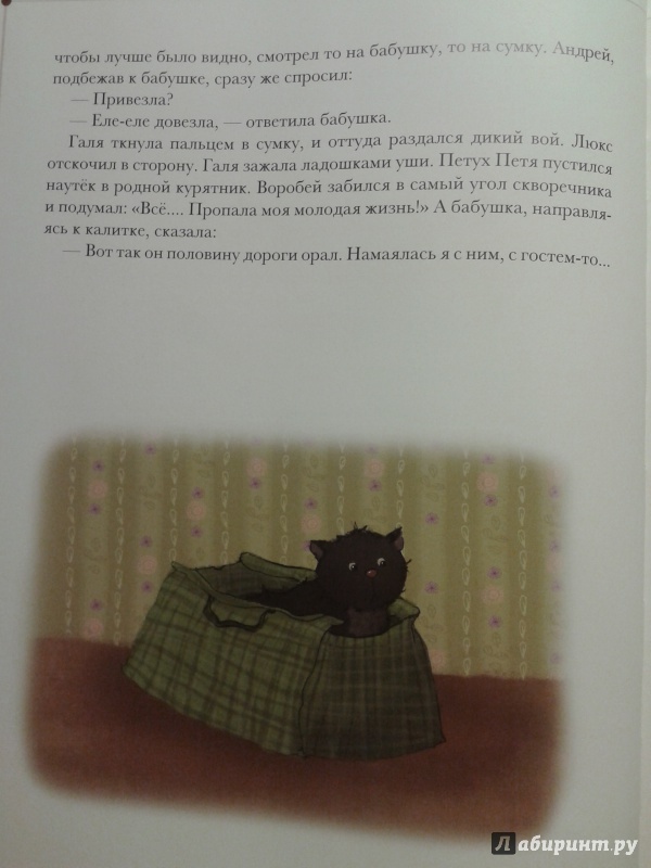 Иллюстрация 9 из 83 для Каникулы кота Егора - Николай Наволочкин | Лабиринт - книги. Источник: Левендер Ту Ту