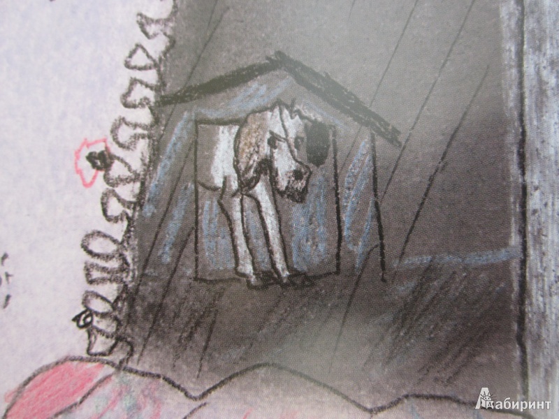 Иллюстрация 20 из 50 для Кот и пёс - Татьяна Макарова | Лабиринт - книги. Источник: ЮлияО