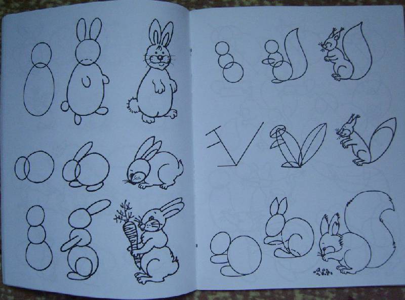 Иллюстрация 12 из 23 для Обучение детей дошкольного возраста рисованию животных по алгоритмическим схемам. ФГОС - Нелли Шайдурова | Лабиринт - книги. Источник: Tatka