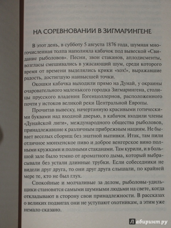 Иллюстрация 23 из 27 для Дунайский лоцман. Деревня в воздухе - Жюль Верн | Лабиринт - книги. Источник: Катран777