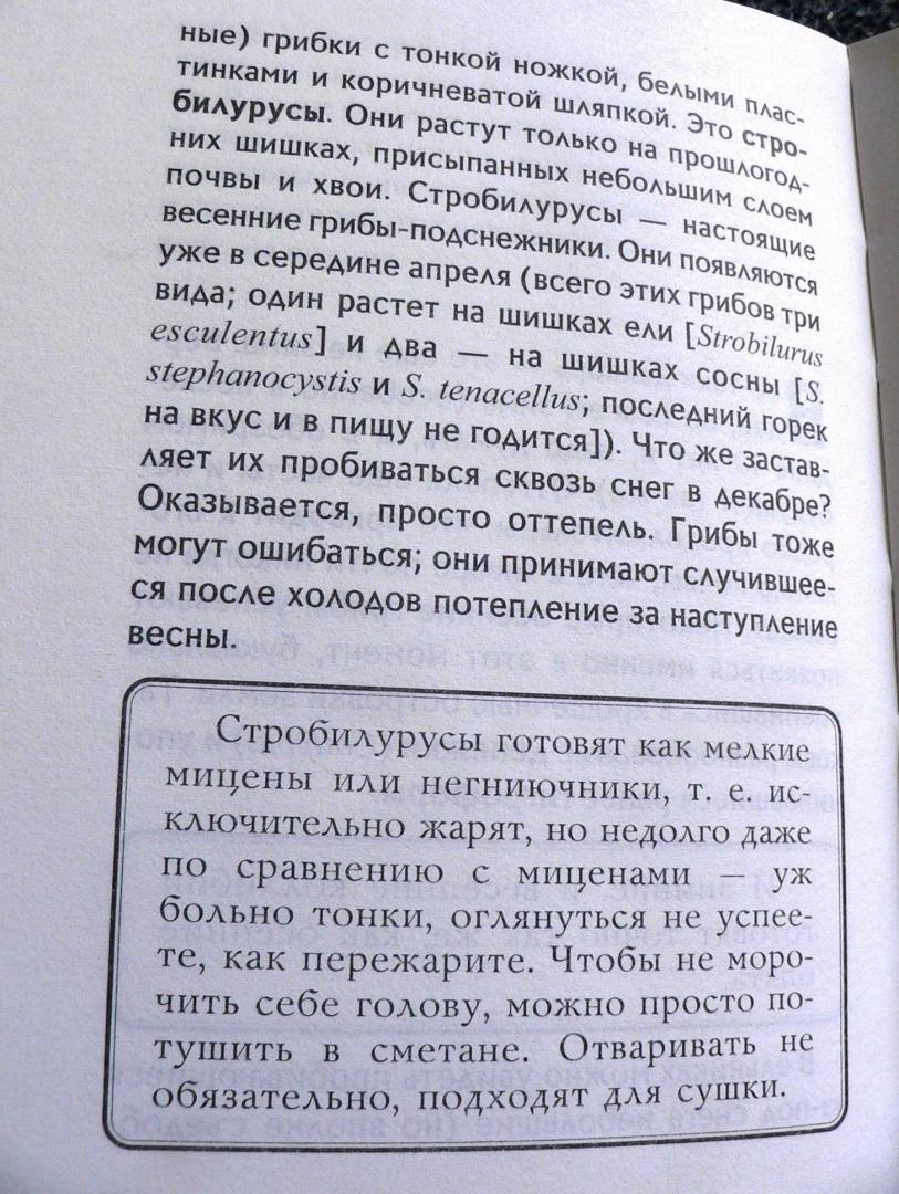 Иллюстрация 22 из 32 для За грибами с ноября по май - Михаил Вишневский | Лабиринт - книги. Источник: Mурaшкa