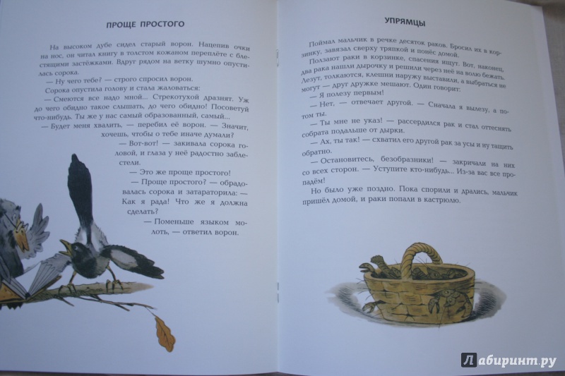 Иллюстрация 37 из 54 для Зачем ежу колючки - Вениамин Росин | Лабиринт - книги. Источник: kolobus
