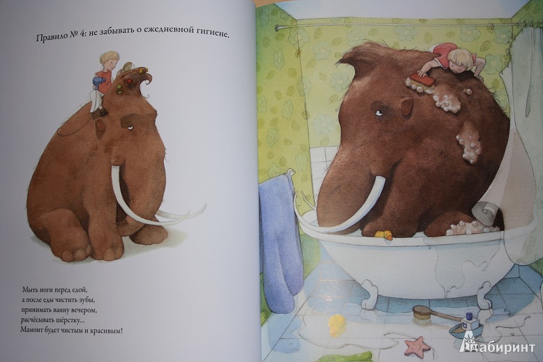 Иллюстрация 18 из 22 для Как воспитать домашнего мамонта - Квентин Гребан | Лабиринт - книги. Источник: КНИЖНОЕ ДЕТСТВО