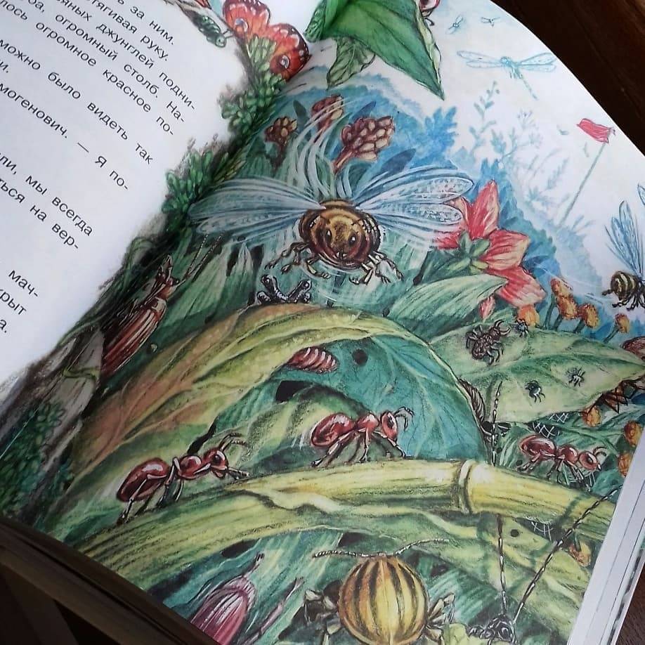 Иллюстрация 43 из 95 для Необыкновенные приключения Карика и Вали - Ян Ларри | Лабиринт - книги. Источник: @bumazhniy_gorod
