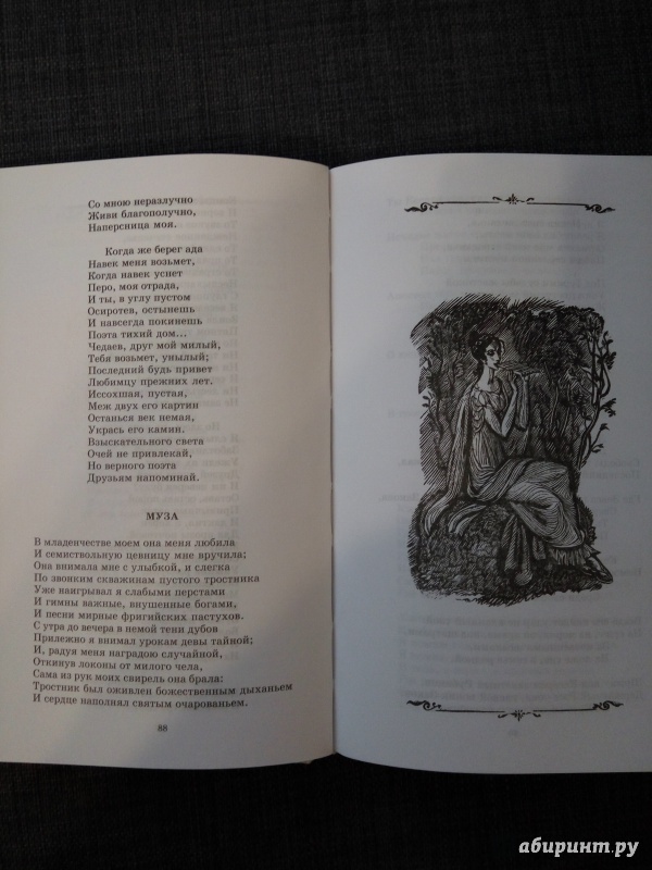 Иллюстрация 15 из 35 для Стихотворения - Александр Пушкин | Лабиринт - книги. Источник: Aigul