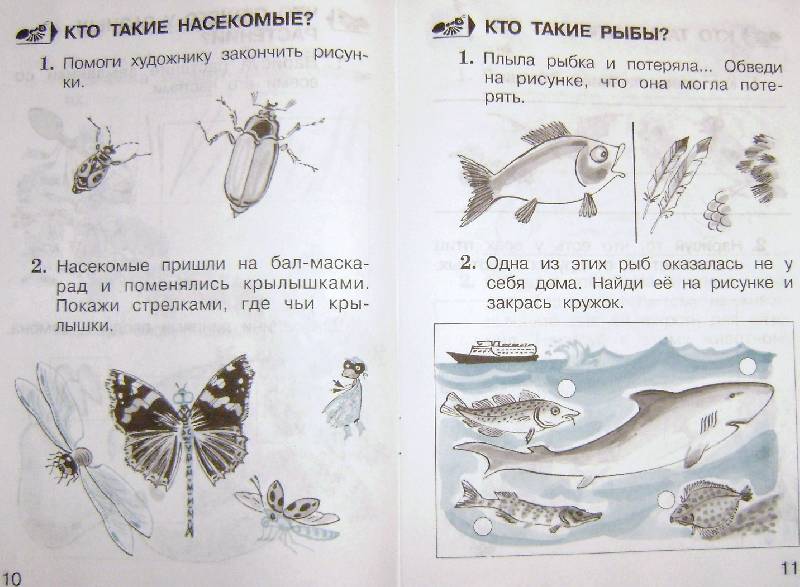 Тест рыбы 2 класс. Рыбы 1 класс окружающий мир задания. Тест рыбы 1 класс. Кто такие рыбы 1 класс школа России задания.