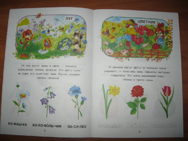 Иллюстрация 9 из 14 для В мире растений - О. Захарова | Лабиринт - книги. Источник: Гилева  Любовь Валерьевна