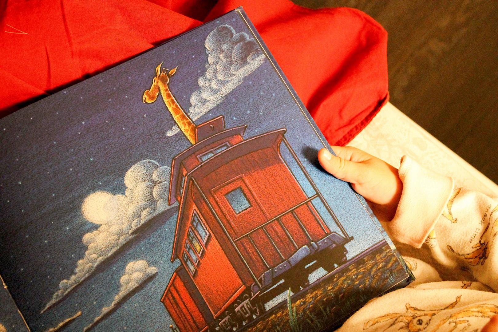 Иллюстрация 89 из 95 для Чудный поезд мчится в сон - Ринкер Даски | Лабиринт - книги. Источник: Fomina  Ksenia
