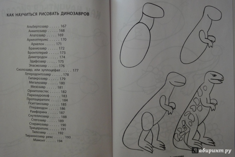 Иллюстрация 39 из 44 для Рисование. Первые шаги - Динара Селиверстова | Лабиринт - книги. Источник: Юлия