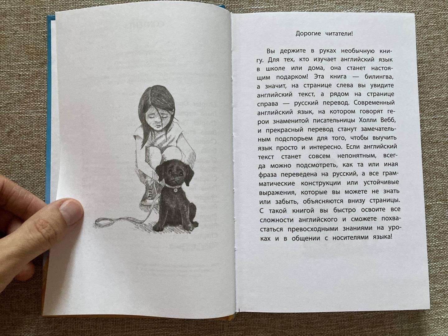 Иллюстрация 10 из 15 для Щенок Кнопочка, или Умная малышка - Холли Вебб | Лабиринт - книги. Источник: Батыршин  Марат