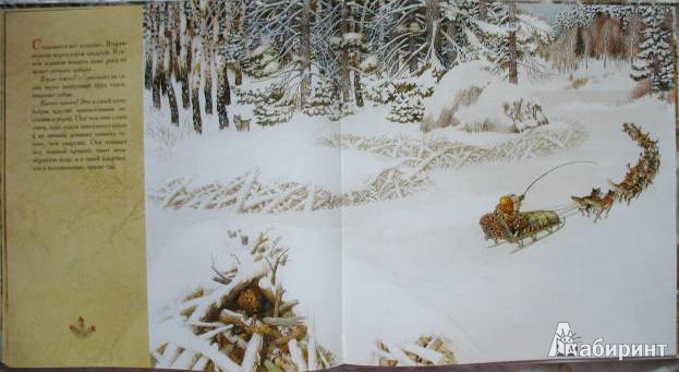 Иллюстрация 23 из 70 для Жизнь в тайге - Бренда Гиберсон | Лабиринт - книги. Источник: kolobus