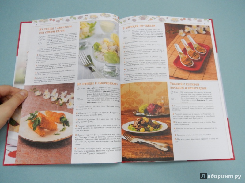 Иллюстрация 5 из 11 для 100 лучших рецептов праздничных салатов | Лабиринт - книги. Источник: dbyyb