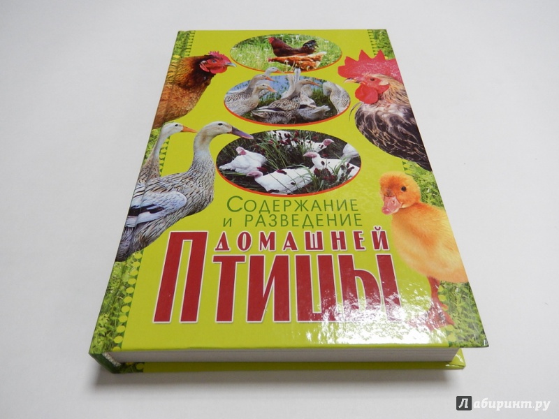 Иллюстрация 2 из 6 для Содержание и разведение домашней птицы - Балашов, Жмакин, Колпакова | Лабиринт - книги. Источник: dbyyb