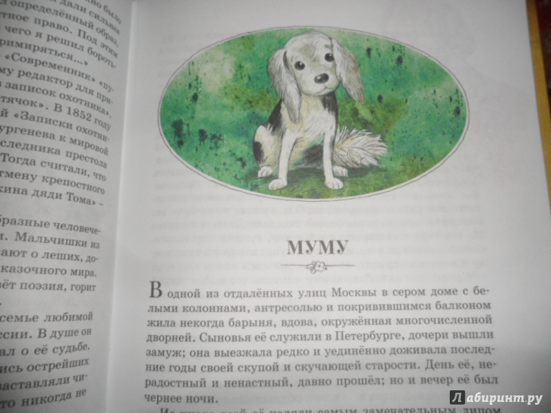 Иллюстрация 46 из 58 для Муму - Иван Тургенев | Лабиринт - книги. Источник: юлия д.