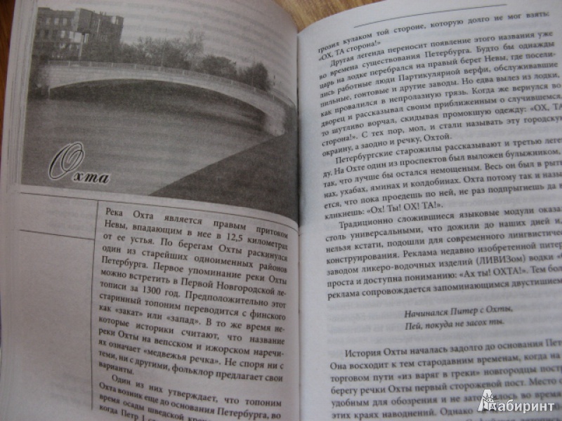 Иллюстрация 16 из 16 для Легенды Петербургских мостов и рек - Наум Синдаловский | Лабиринт - книги. Источник: Лунный кот