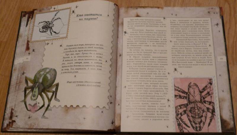 Иллюстрация 12 из 103 для Письма насекомых - Ольга Кувыкина | Лабиринт - книги. Источник: Pam
