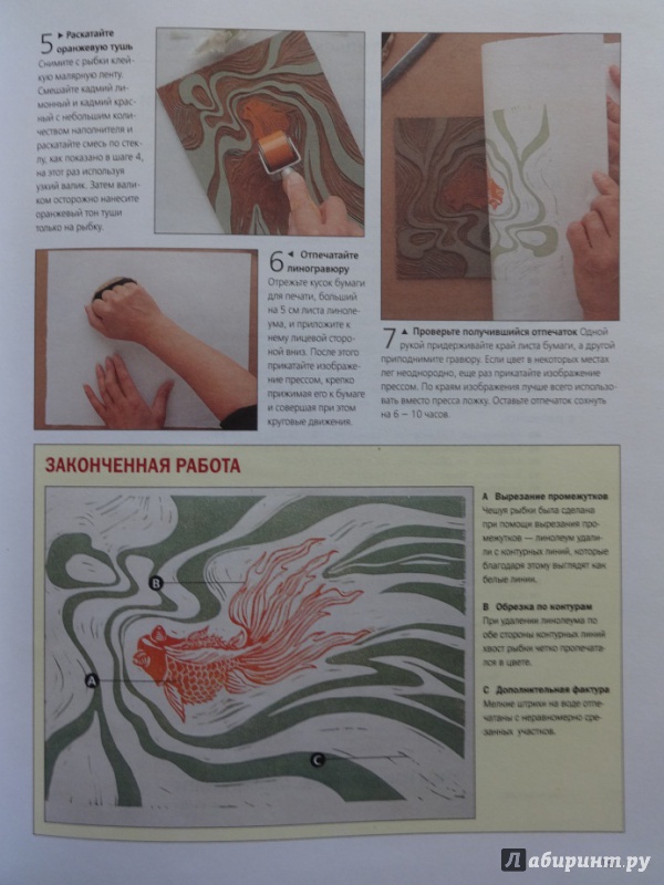 Иллюстрация 5 из 49 для Как научиться рисовать животных. Шаг за шагом | Лабиринт - книги. Источник: Саломасов  Даниил