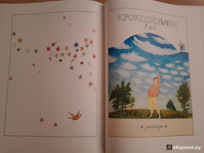 Иллюстрация 55 из 80 для Хомячок на прогулке - Арсений Седугин | Лабиринт - книги. Источник: Olga