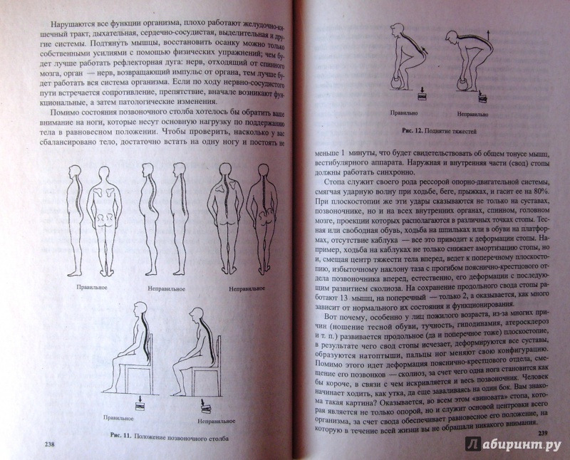 Иллюстрация 6 из 33 для Эндоэкология здоровья - Неумывакин, Неумывакина | Лабиринт - книги. Источник: Соловьев  Владимир