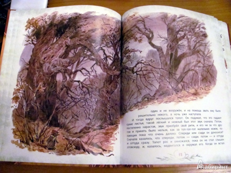 Иллюстрация 15 из 78 для Ветер в ивах - Кеннет Грэм | Лабиринт - книги. Источник: Oho  Oho