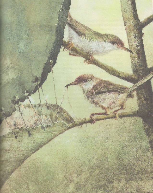 Иллюстрация 138 из 164 для Книга джунглей - Редьярд Киплинг | Лабиринт - книги. Источник: magnolia