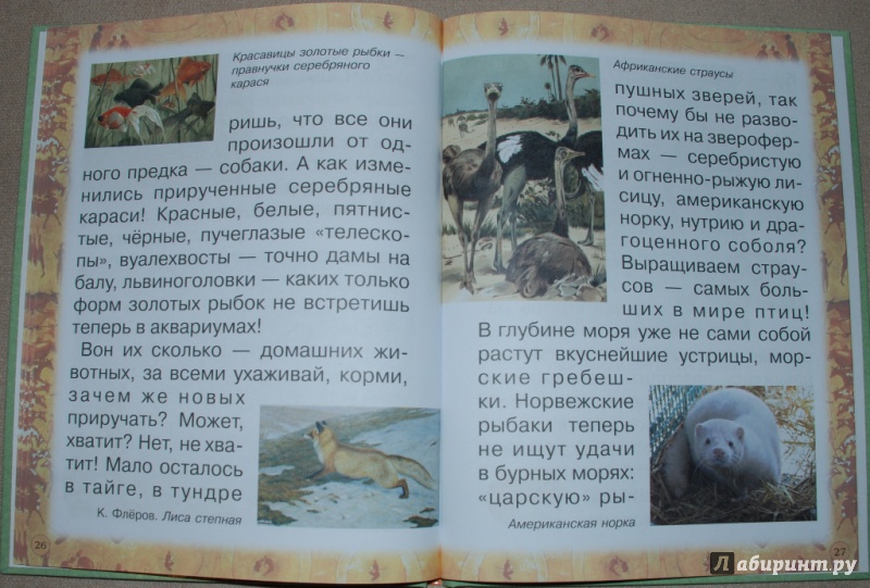 Иллюстрация 16 из 31 для Животные: помощники и друзья - Инна Гамазкова | Лабиринт - книги. Источник: Книжный кот