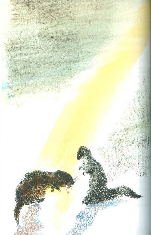 Иллюстрация 7 из 15 для Рикки-Тикки-Тави - Редьярд Киплинг | Лабиринт - книги. Источник: bel-k