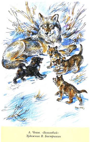 Иллюстрация 8 из 29 для Виннипегский волк,  Арго и другие... | Лабиринт - книги. Источник: Золотая рыбка