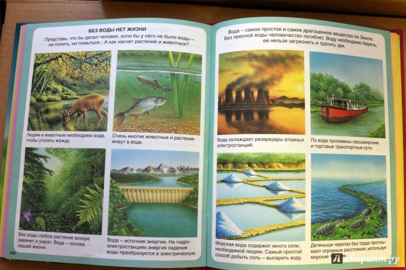 Иллюстрация 29 из 74 для Загадки природы - Бомон, Гийоре | Лабиринт - книги. Источник: Террил
