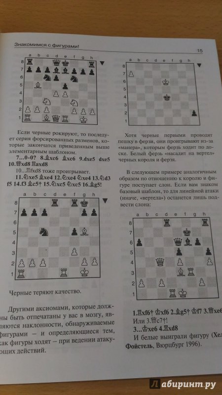Иллюстрация 5 из 21 для Понимание шахматной тактики - Мартин Ветешник | Лабиринт - книги. Источник: Wiseman