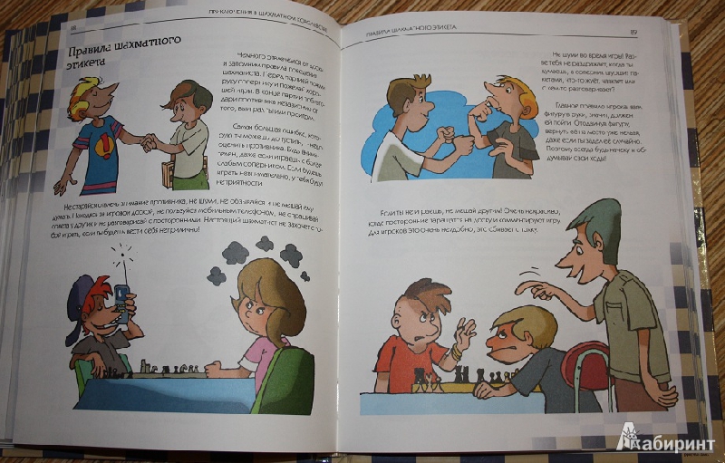 Иллюстрация 11 из 25 для Приключения в шахматном королевстве - Халас, Геци | Лабиринт - книги. Источник: КНИЖНОЕ ДЕТСТВО