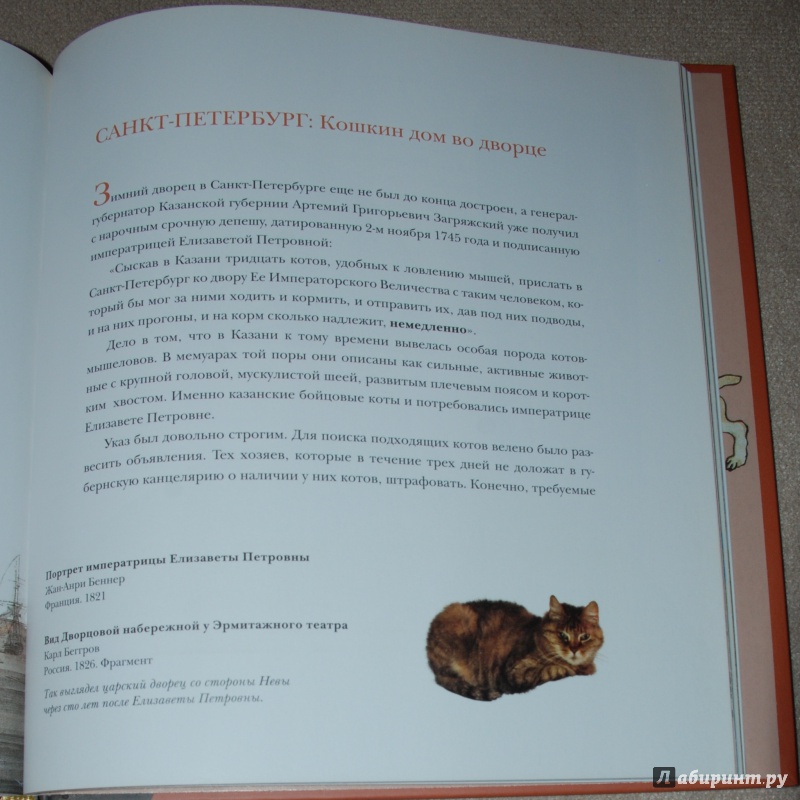 Иллюстрация 14 из 30 для Кошкин дом в Эрмитаже - Голь, Халтунен | Лабиринт - книги. Источник: Книжный кот