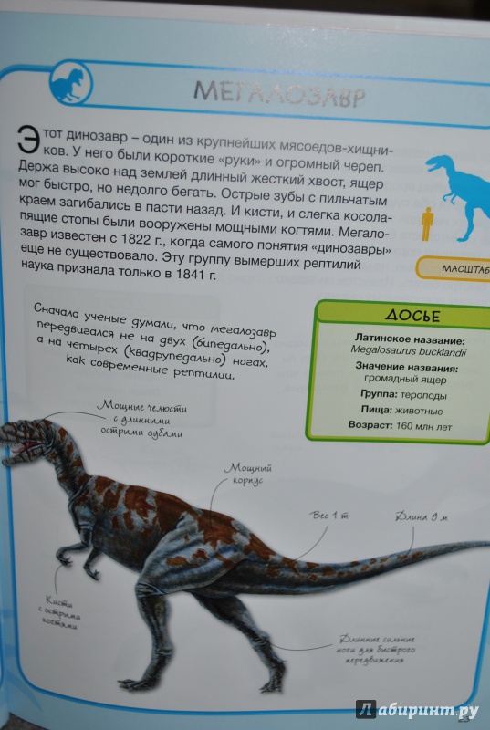 Иллюстрация 22 из 29 для Динозавры - Стив Паркер | Лабиринт - книги. Источник: Julka D