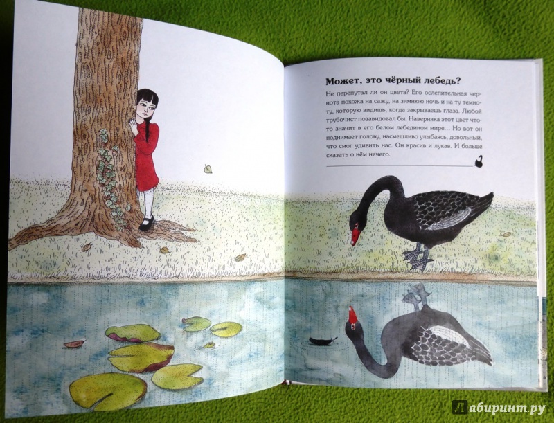 Иллюстрация 15 из 37 для Мое любимое животное - Катрин Грив | Лабиринт - книги. Источник: reader*s