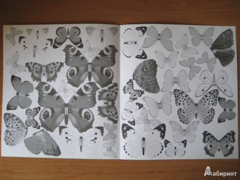 Иллюстрация 17 из 19 для Набор для создания картины "Взлетающие бабочки" (АБ 41-211) | Лабиринт - игрушки. Источник: Макарова  Елена