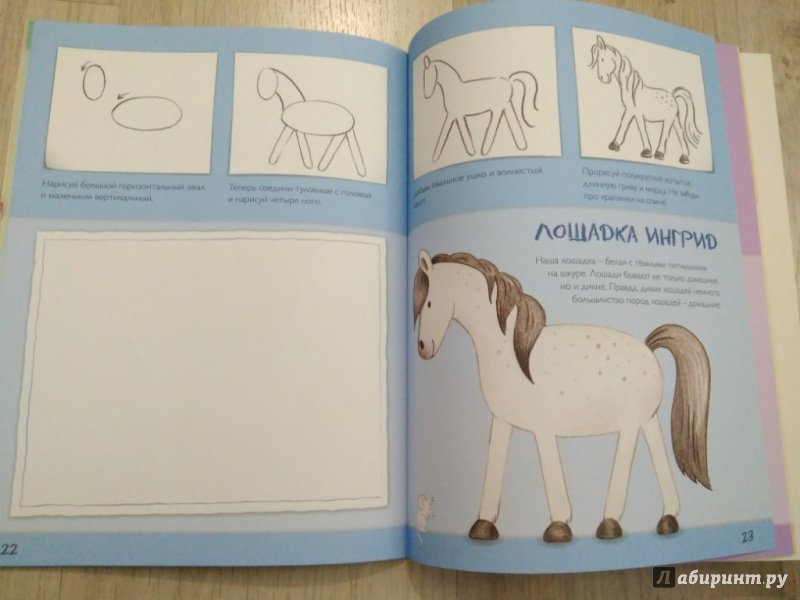 Иллюстрация 14 из 17 для Рисуем домашних животных - Корина Бойренмайстер | Лабиринт - книги. Источник: Тайна