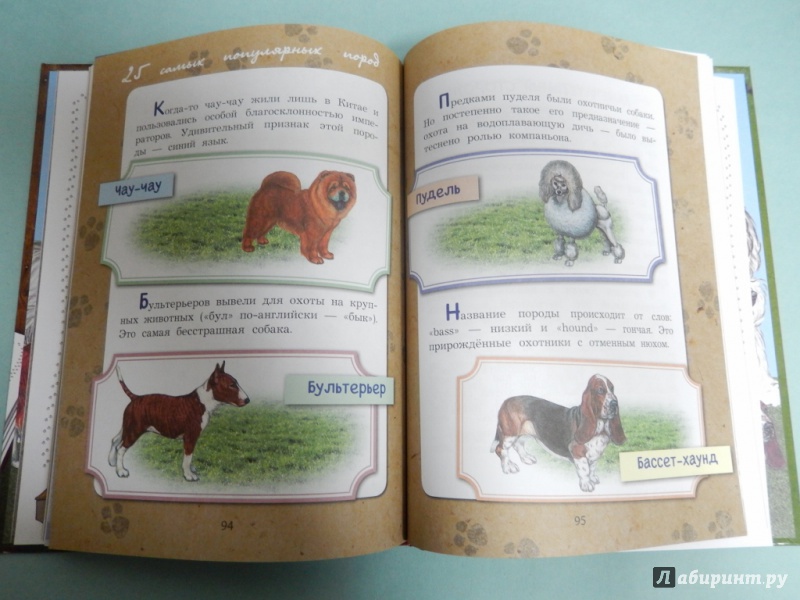 Иллюстрация 8 из 23 для Большая книга про собак - Пришвин, Георгиев, Сеф, Инбер | Лабиринт - книги. Источник: dbyyb