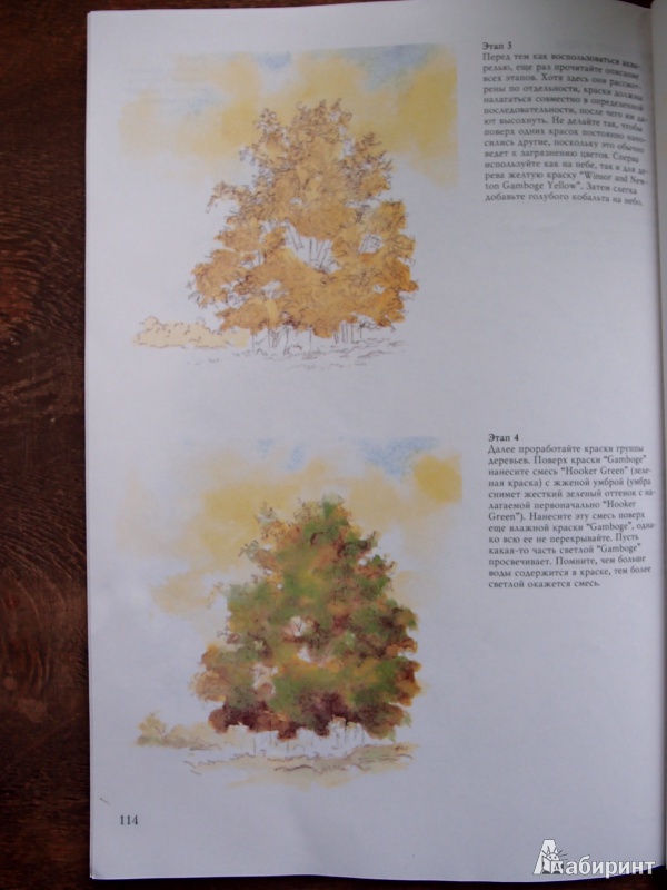 Иллюстрация 9 из 61 для Деревья - Стенли Молцмен | Лабиринт - книги. Источник: Kary
