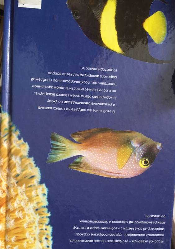 Иллюстрация 19 из 23 для Морской аквариум - Тристан Логер | Лабиринт - книги. Источник: Nika