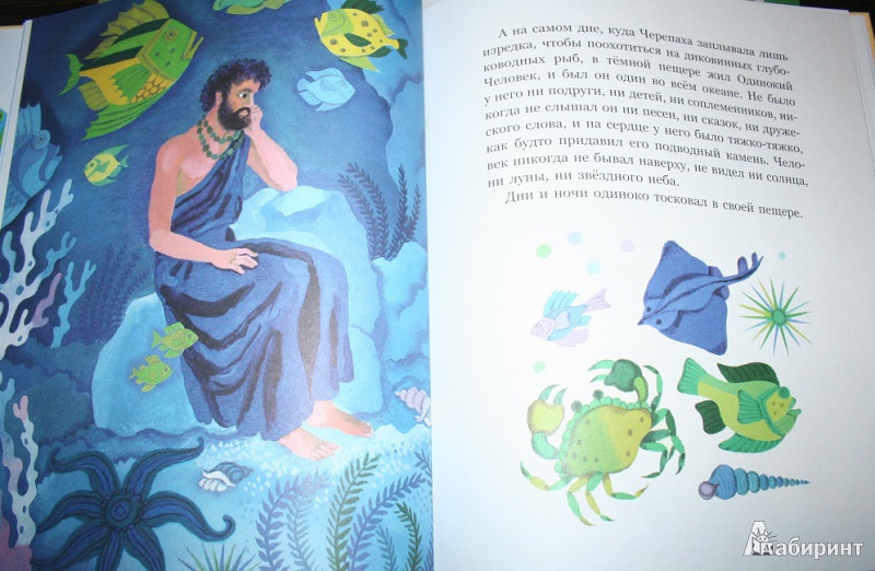 Иллюстрация 7 из 16 для Черепаха и остров | Лабиринт - книги. Источник: Торос  Анна Ивановна