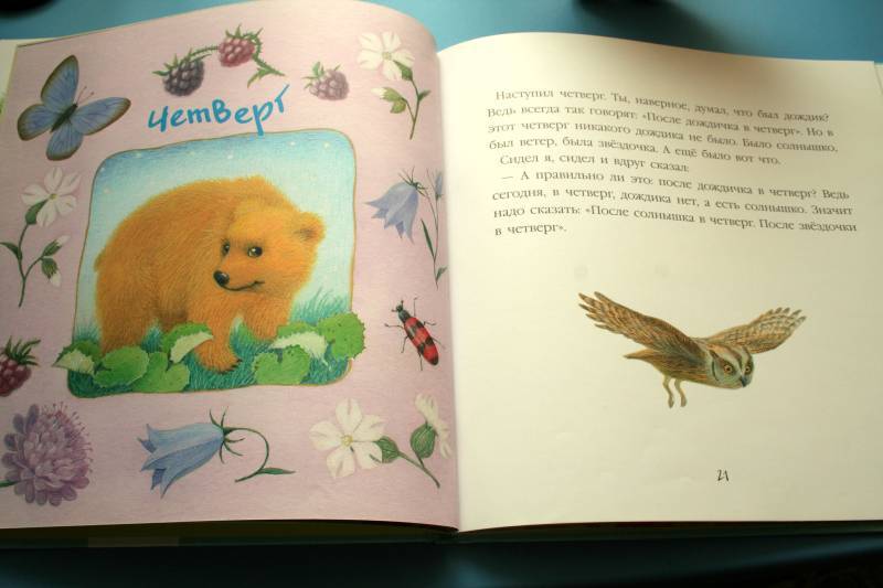 Иллюстрация 21 из 37 для В подарок малышу: Дневник медвежонка - Геннадий Цыферов | Лабиринт - книги. Источник: HappyJul